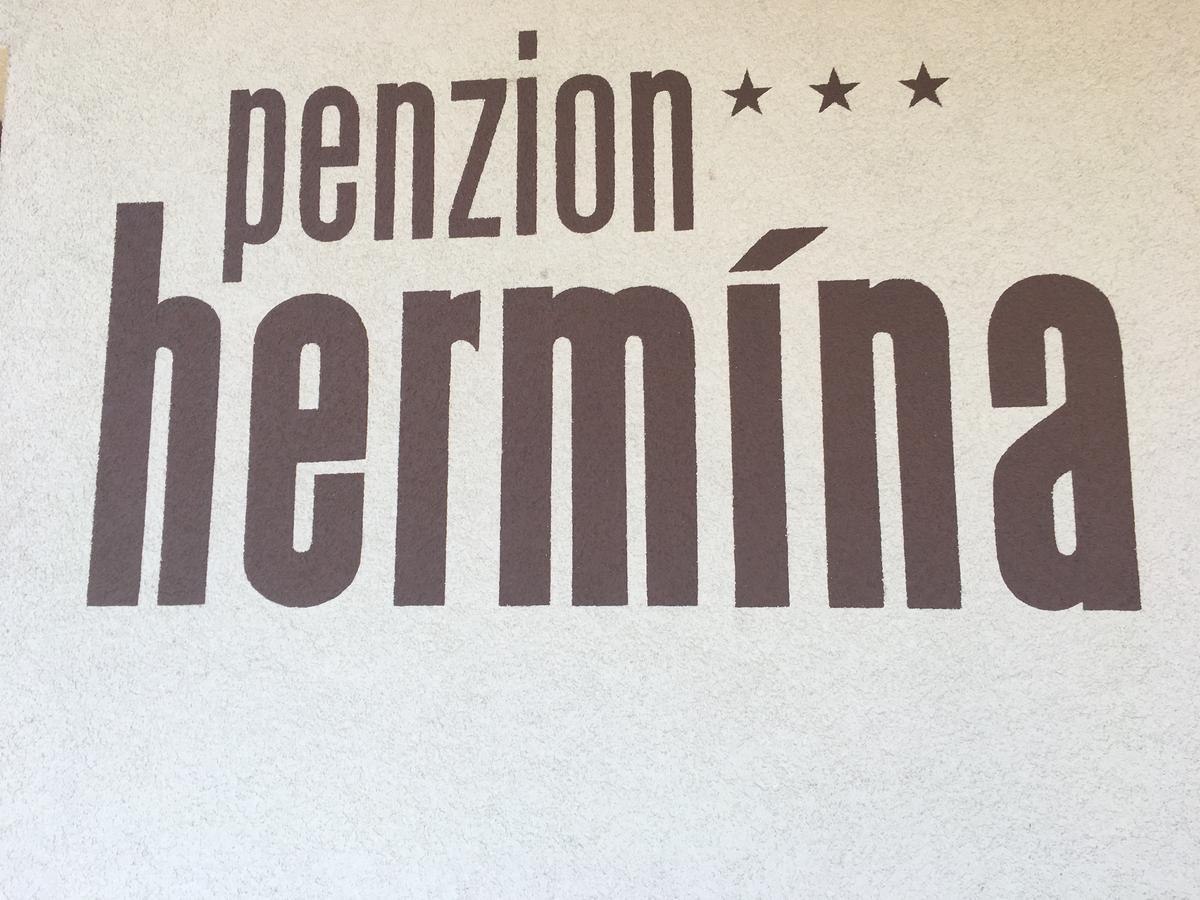 Penzion Hermina Veseli nad Moravou Luaran gambar